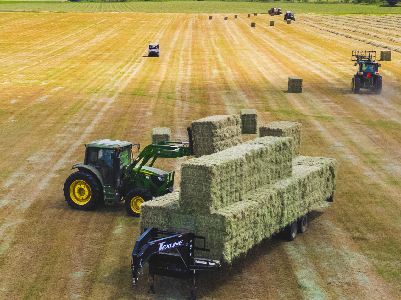 John Deere tractors gather hay and place the bales on a trailer in a Texas field.
