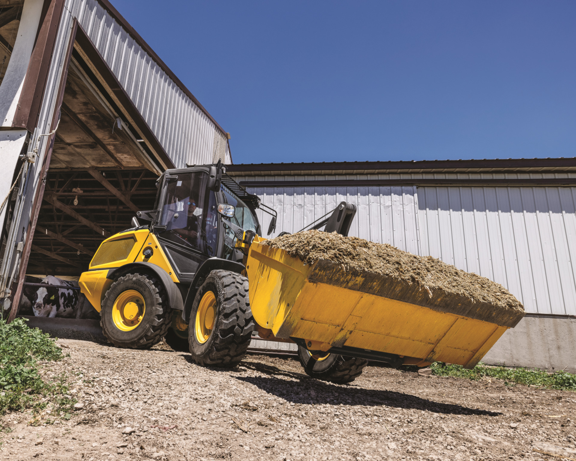 A compact wheel loader transports material on a job site.