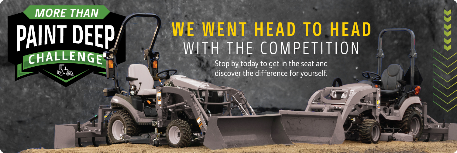 More-Than-Paint-Deep